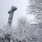 Où est passé l’hiver ? Où est passé l’hiver ?