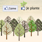 Reboisons le Mont Sutton grâce à Facebook Reboisons le Mont Sutton grâce à Facebook