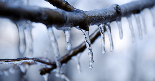 La photo du mois : Glace