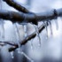 La photo du mois : Glace
