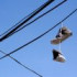 Pourquoi trouve-t-on des chaussures suspendues aux fils électriques à Montréal ?
