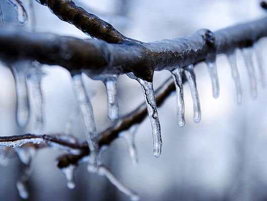 L'hiver à Montréal L'hiver à Montréal