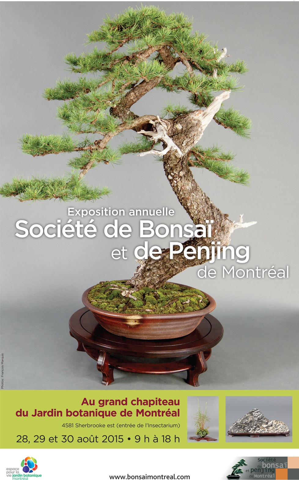 Exposition annuelle de bonsaïs et de penjing