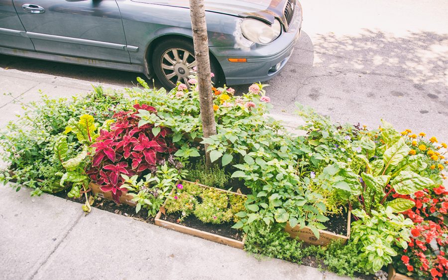 Le 27 mai. Montréal vous offre des fleurs et des végétaux pour vos espaces verts
